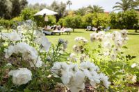 LA MAMOUNIA 27 les-jardins-sentuers-et-couleurs-3-